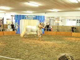 IMG_5186_web